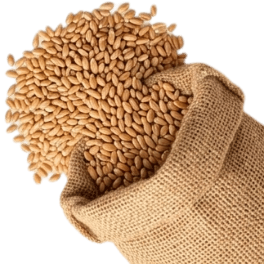 Decorative Agriculture Graphic